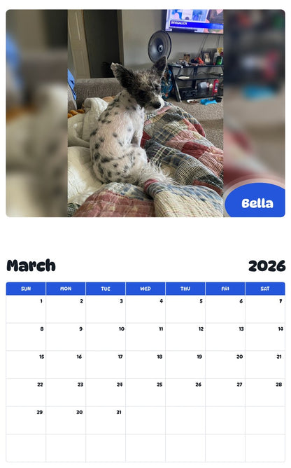 November 2025 - October 2026 Bella - Pawidols Pet Calendar