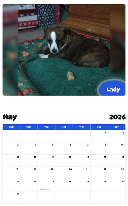 2026 - 2027 Lady - Pawidols Pet Calendar