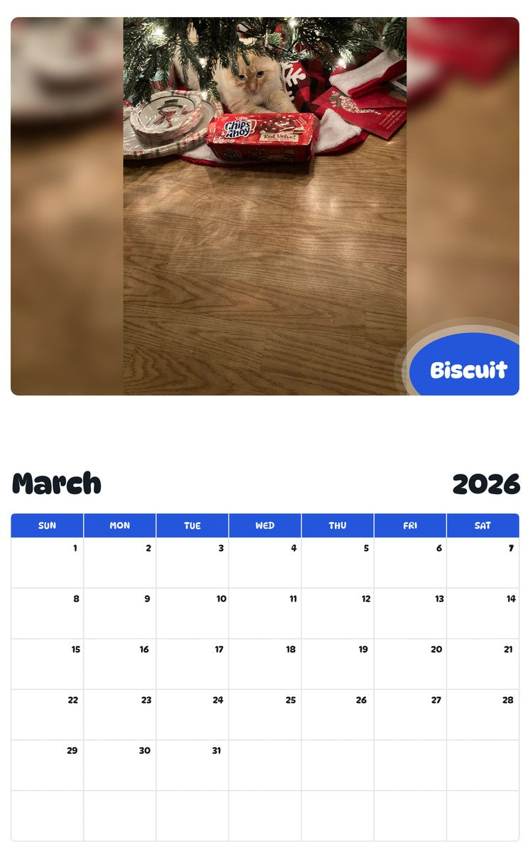 November 2025 - October 2026 Biscuit - Pawidols Pet Calendar
