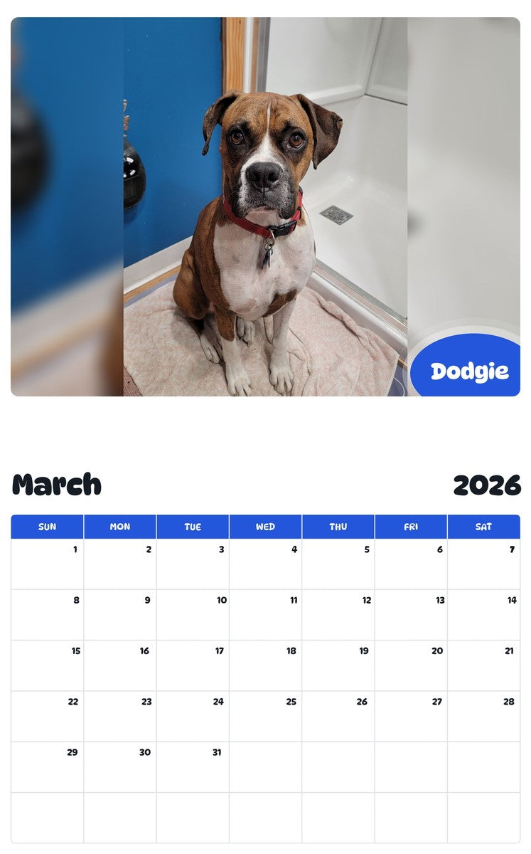 November 2025 - October 2026 Dodgie - Pawidols Pet Calendar