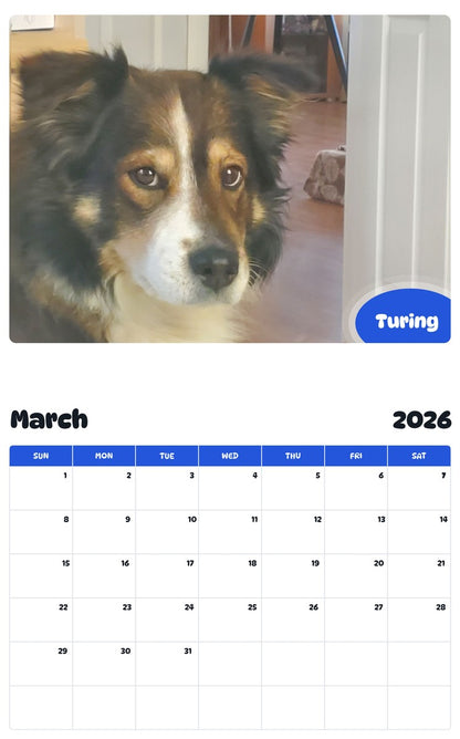 November 2025 - October 2026 Turing - Pawidols Pet Calendar