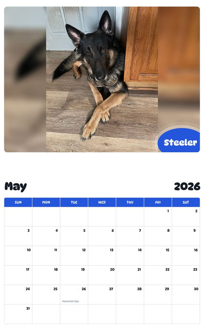 2026 - 2027 Steeler - Pawidols Pet Calendar