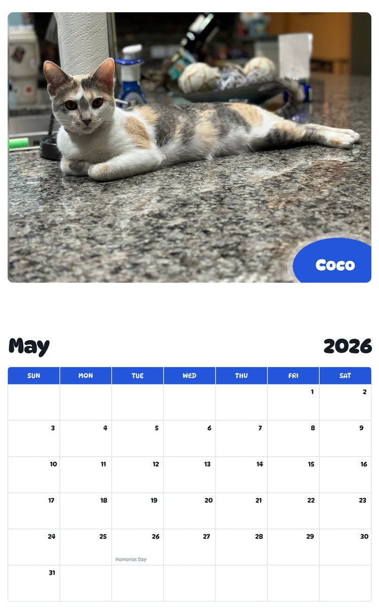 2026 - 2027 Coco - Pawidols Pet Calendar