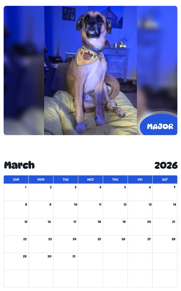 November 2025 - October 2026 MAJOR - Pawidols Pet Calendar