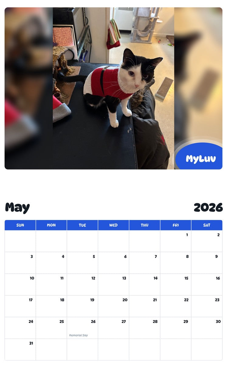 2026 - 2027 MyLuv - Pawidols Pet Calendar
