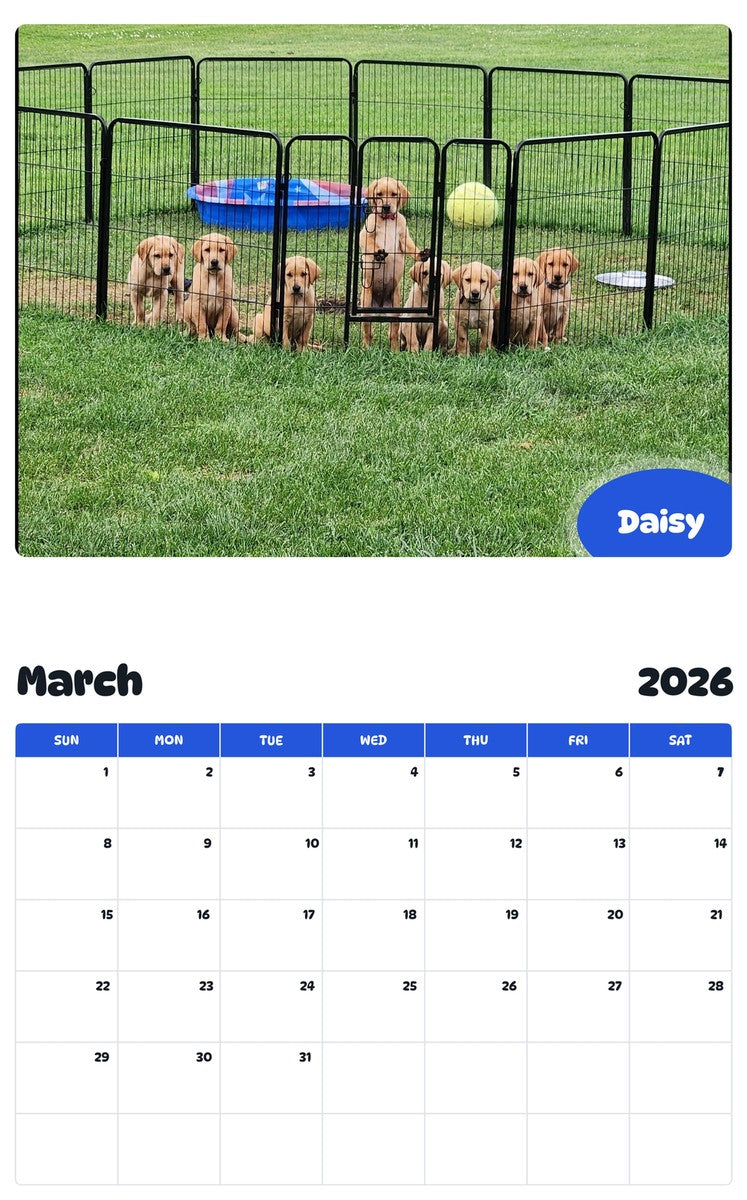 November 2025 - October 2026 Daisy - Pawidols Pet Calendar
