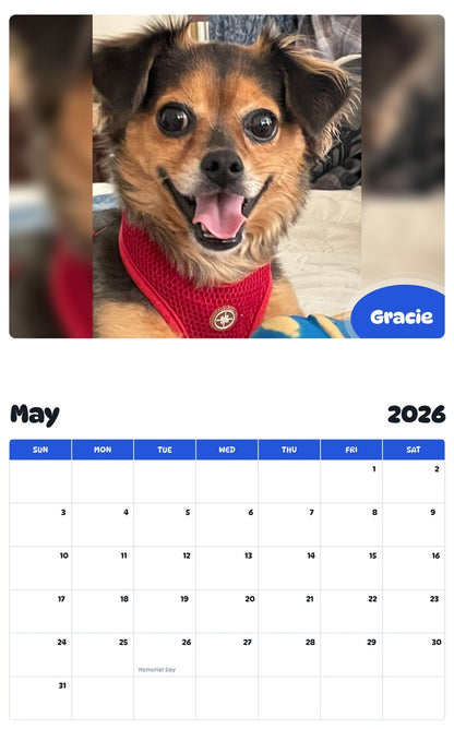 2026 - 2027 Gracie - Pawidols Pet Calendar