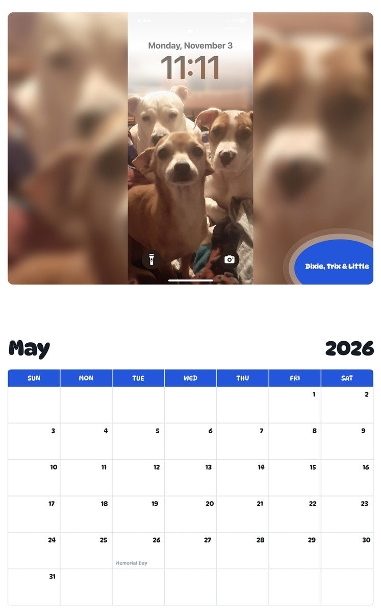 2026 - 2027 Dixie, Trix & Little - Pawidols Pet Calendar