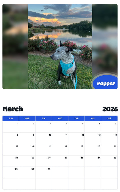 November 2025 - October 2026 Pepper - Pawidols Pet Calendar