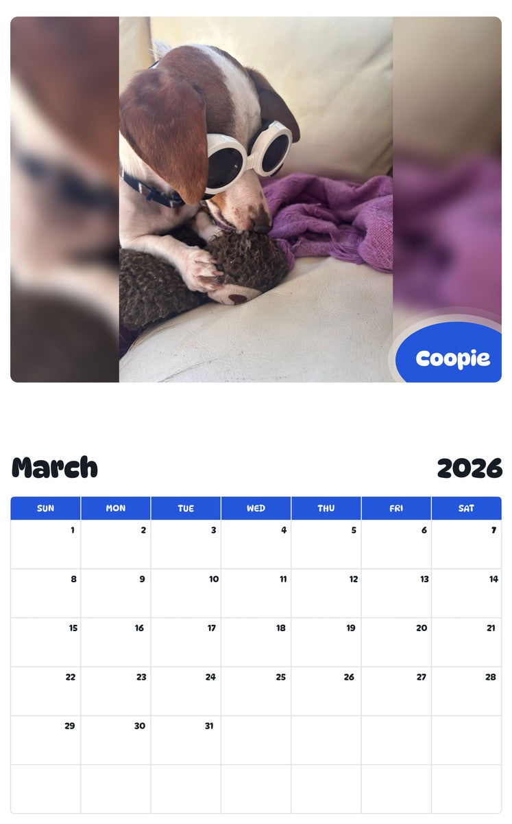 November 2025 - October 2026 Coopie - Pawidols Pet Calendar