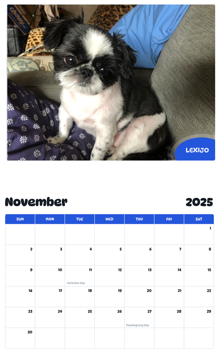 July 2025 - June 2026 Lexijo - Pawidols Pet Calendar
