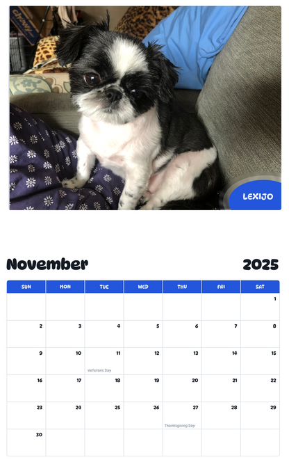 July 2025 - June 2026 Lexijo - Pawidols Pet Calendar
