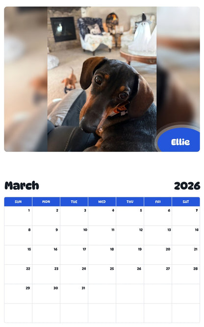 November 2025 - October 2026 Ellie - Pawidols Pet Calendar