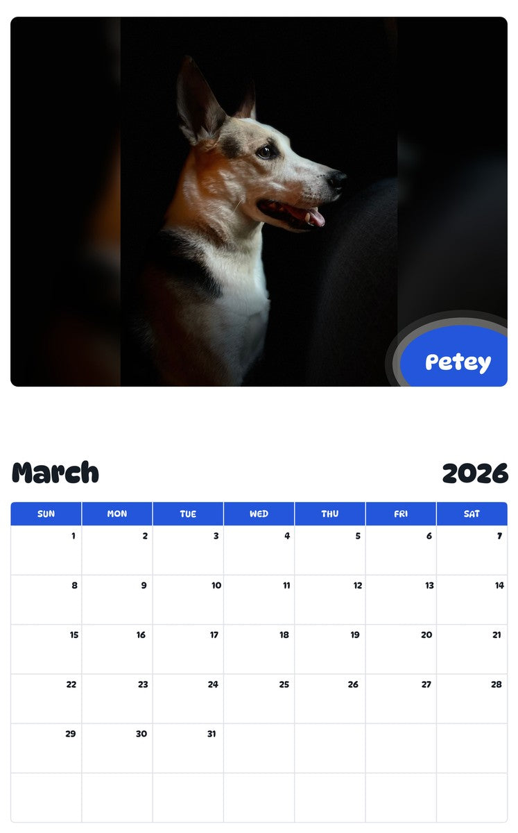 November 2025 - October 2026 Petey - Pawidols Pet Calendar