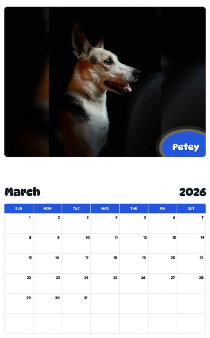 November 2025 - October 2026 Petey - Pawidols Pet Calendar
