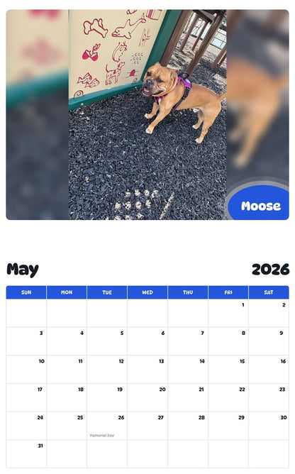 2026 - 2027 Moose - Pawidols Pet Calendar