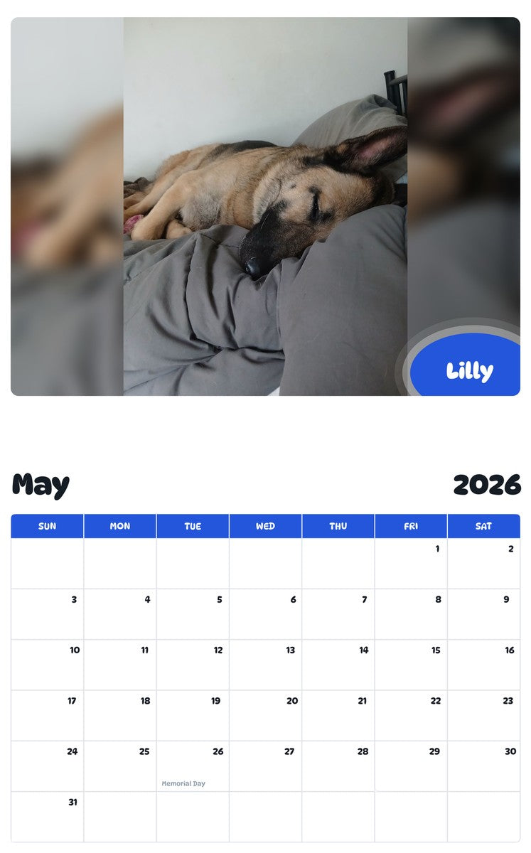 2026 - 2027 Lilly - Pawidols Pet Calendar