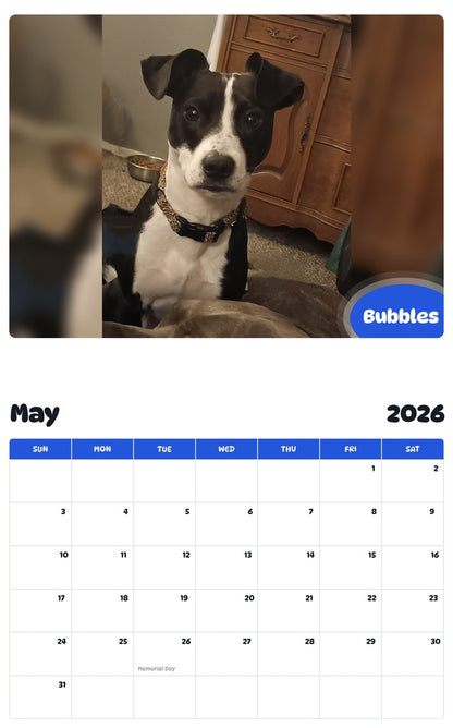 2026 - 2027 Bubbles - Pawidols Pet Calendar