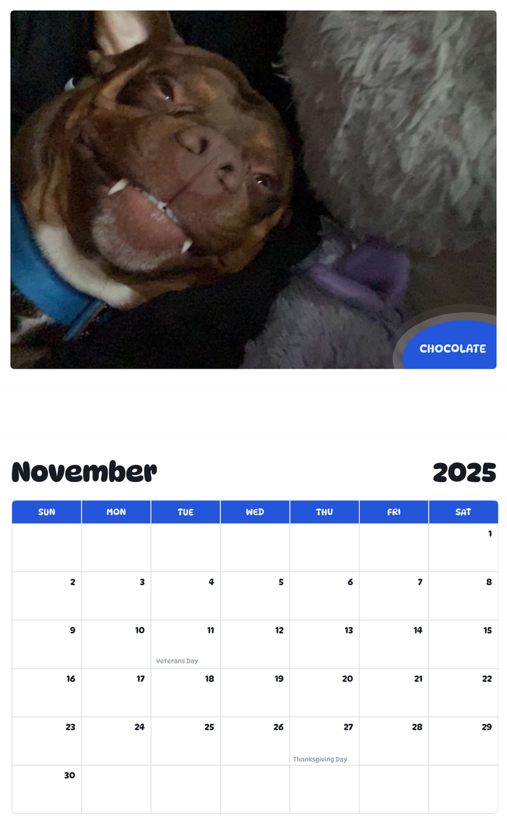 July 2025 - June 2026 Chocolate - Pawidols Pet Calendar