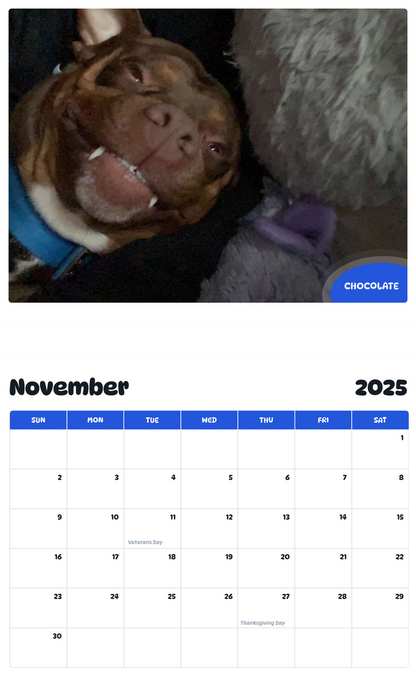 July 2025 - June 2026 Chocolate - Pawidols Pet Calendar