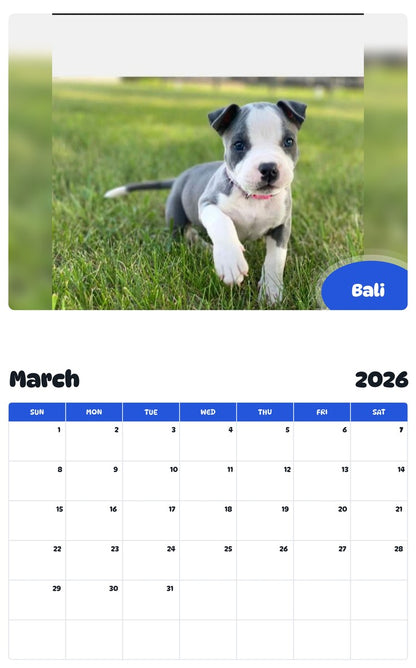 November 2025 - October 2026 Bali - Pawidols Pet Calendar