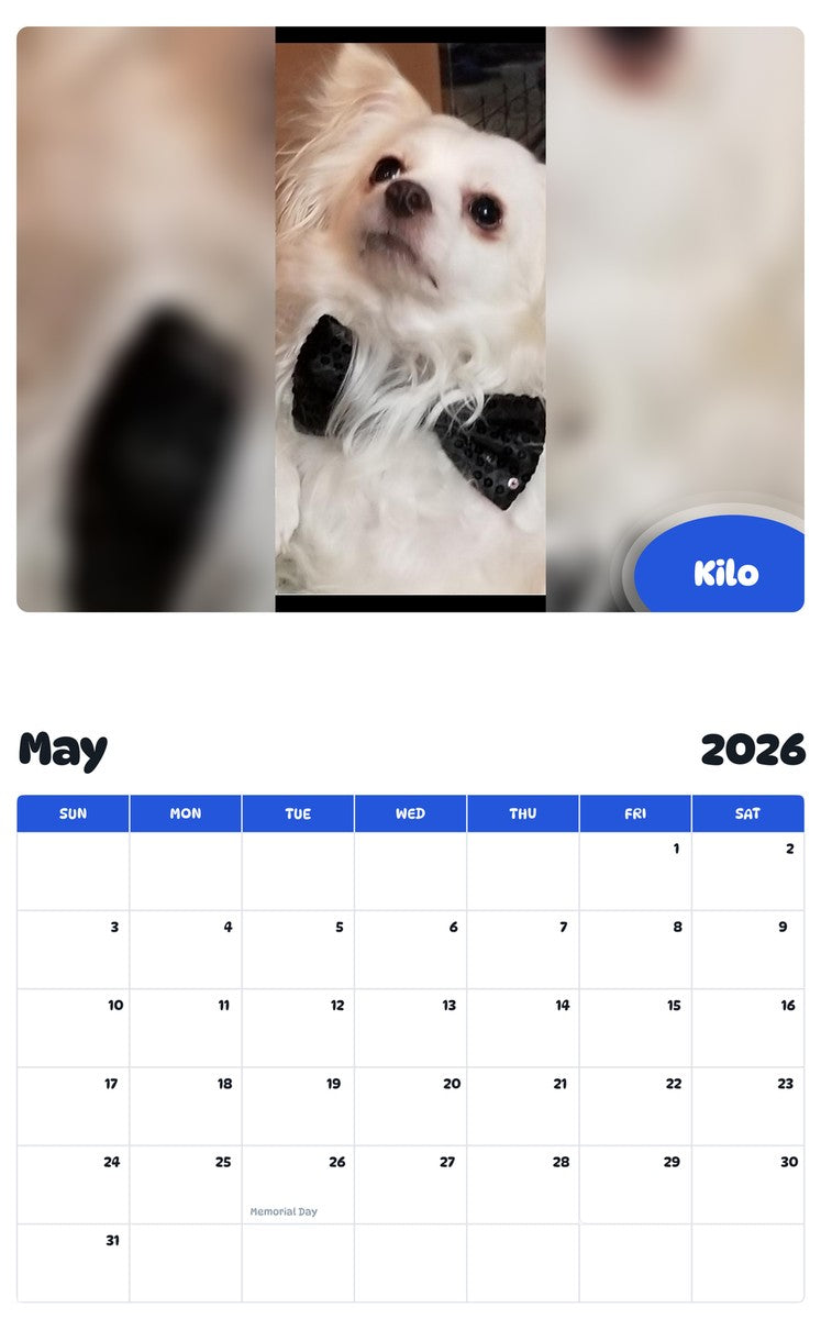 2026 - 2027 Kilo - Pawidols Pet Calendar