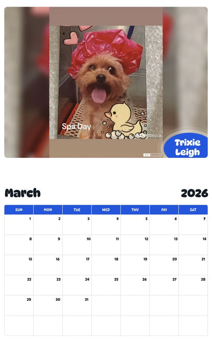 November 2025 - October 2026 Trixie Leigh - Pawidols Pet Calendar