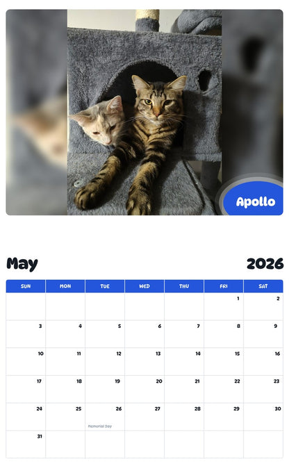 2026 - 2027 Apollo - Pawidols Pet Calendar