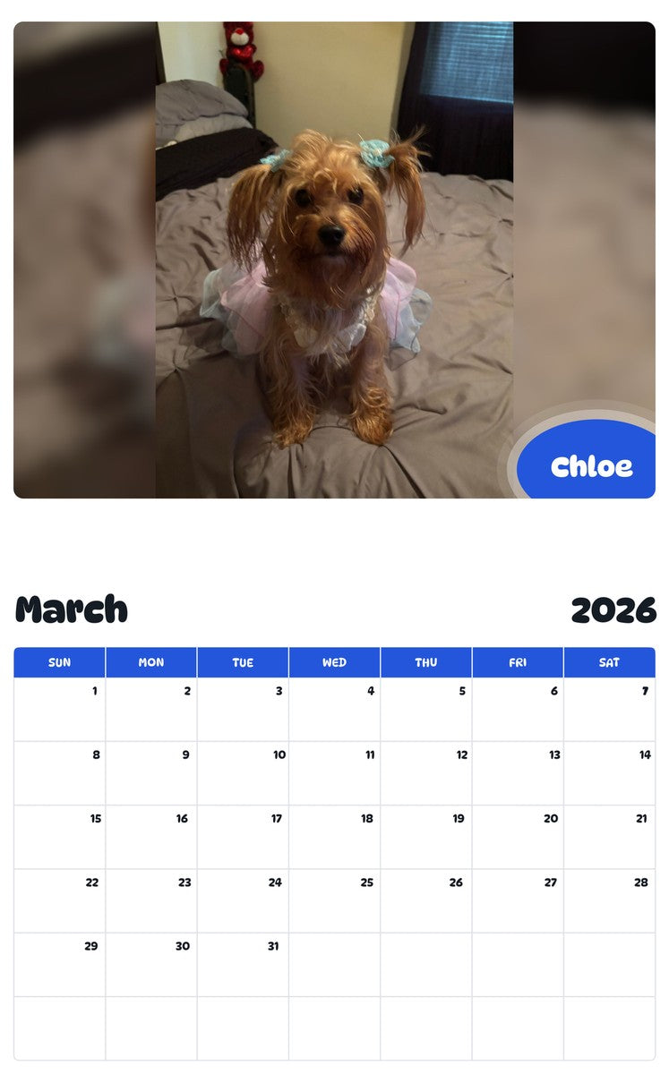 November 2025 - October 2026 Chloe - Pawidols Pet Calendar