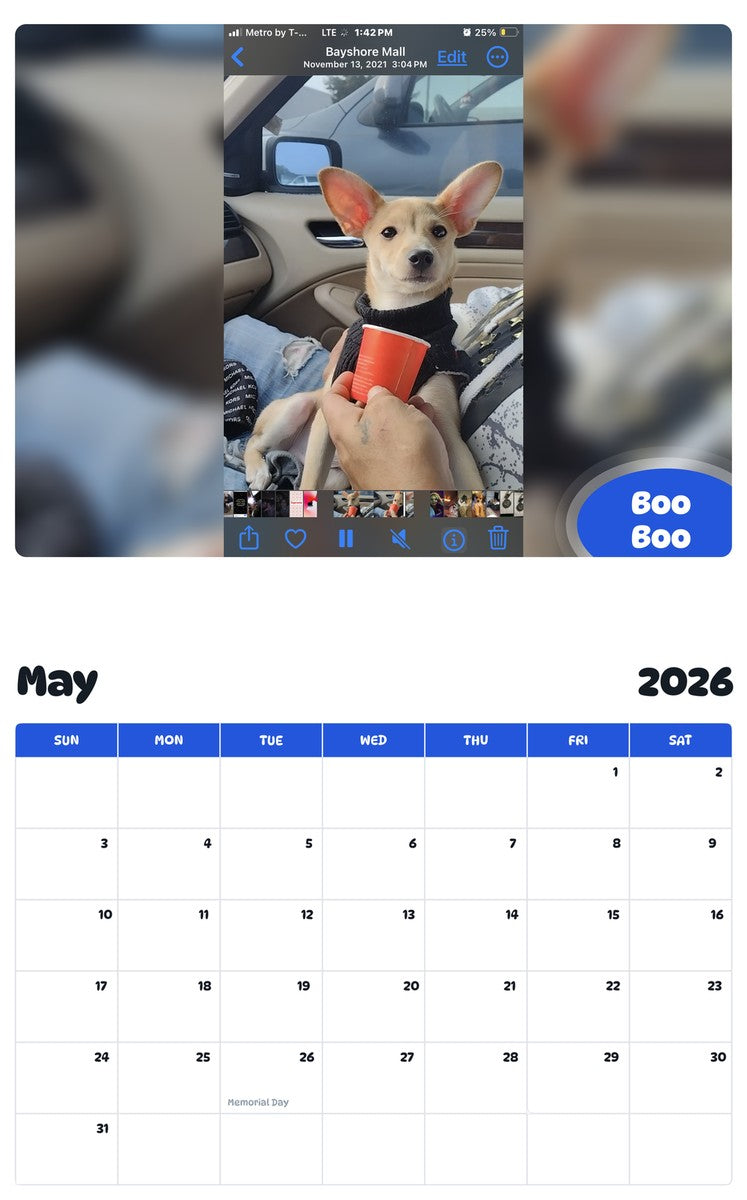 2026 - 2027 Boo Boo - Pawidols Pet Calendar