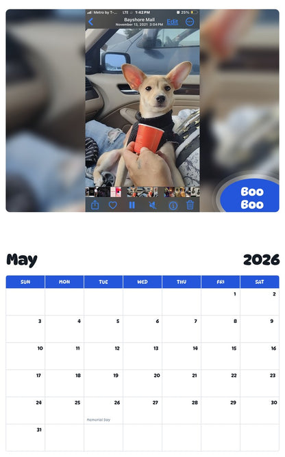 2026 - 2027 Boo Boo - Pawidols Pet Calendar