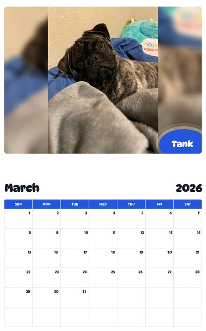 November 2025 - October 2026 Tank - Pawidols Pet Calendar