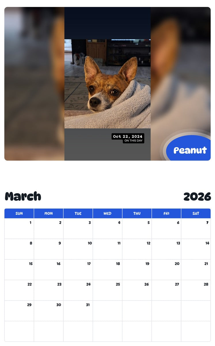 November 2025 - October 2026 Peanut - Pawidols Pet Calendar