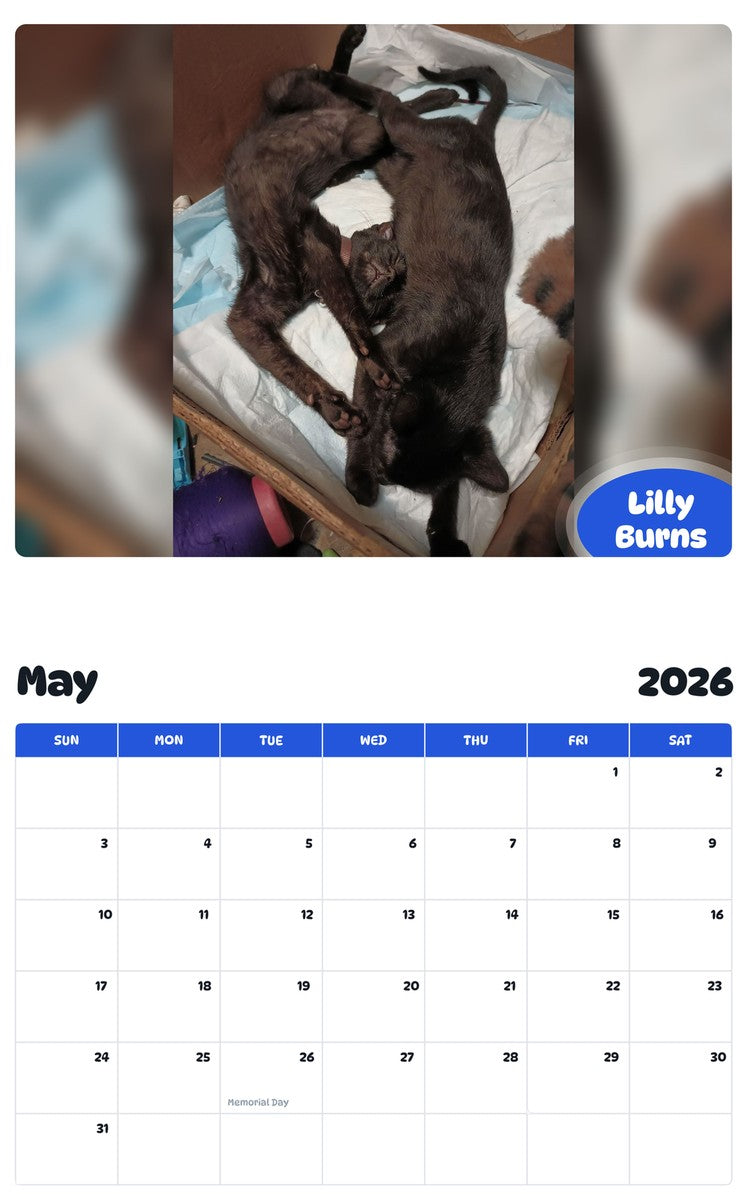 2026 - 2027 Lilly Burns - Pawidols Pet Calendar