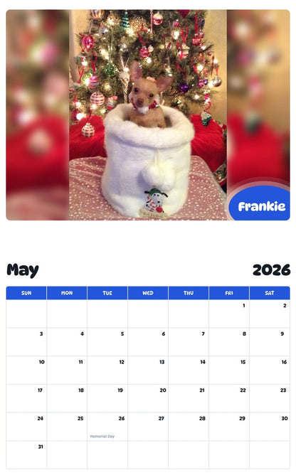 2026 - 2027 Frankie - Pawidols Pet Calendar
