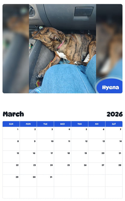 November 2025 - October 2026 Hyena - Pawidols Pet Calendar