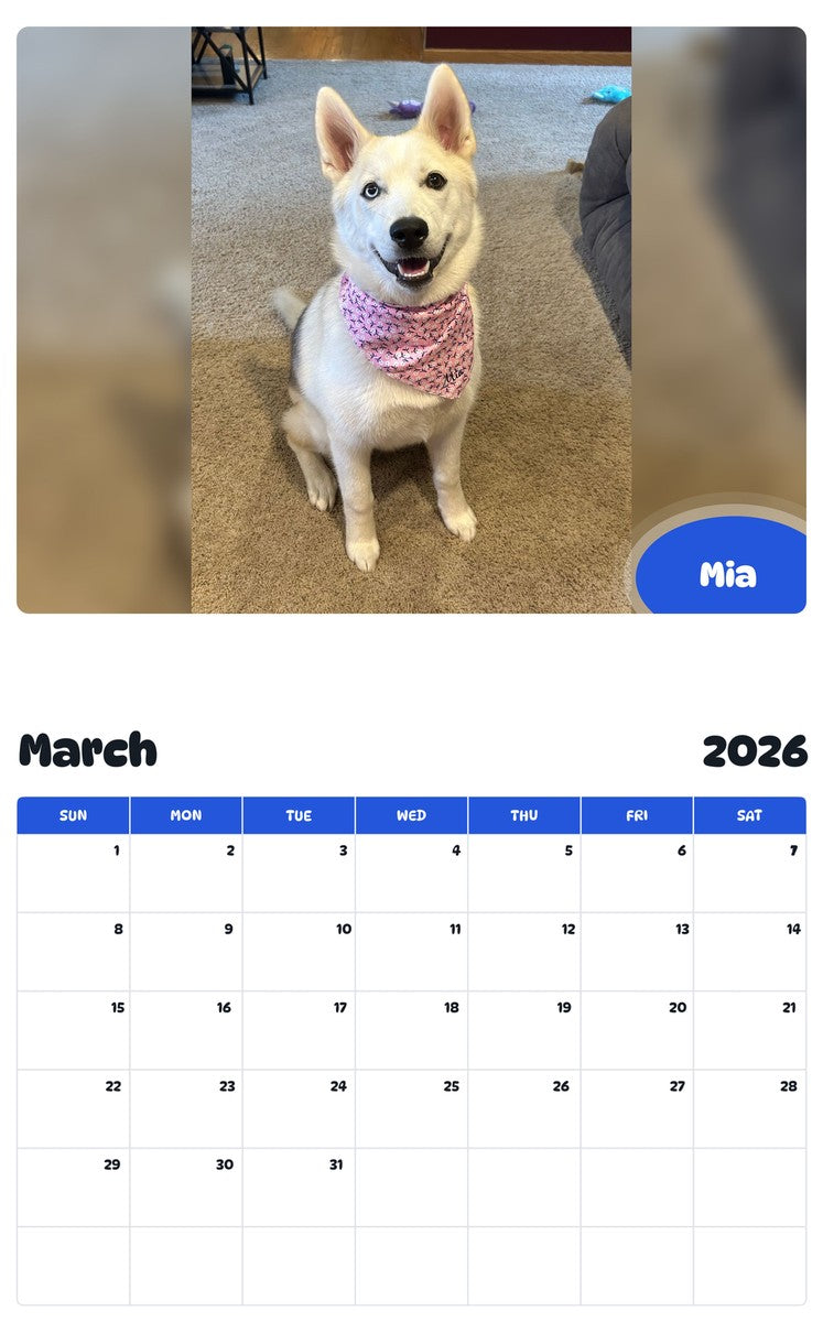 November 2025 - October 2026 Mia - Pawidols Pet Calendar