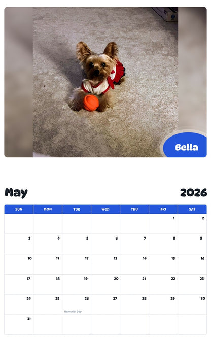 2026 - 2027 Bella - Pawidols Pet Calendar