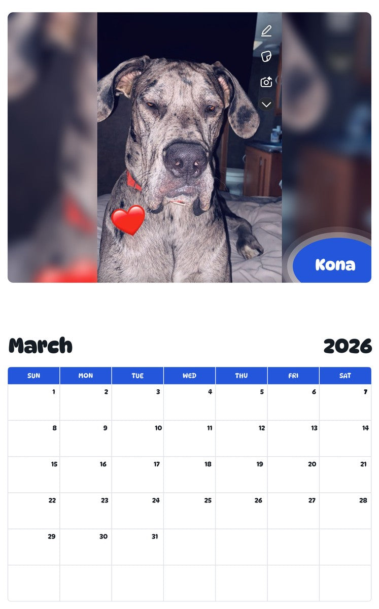 November 2025 - October 2026 Kona - Pawidols Pet Calendar