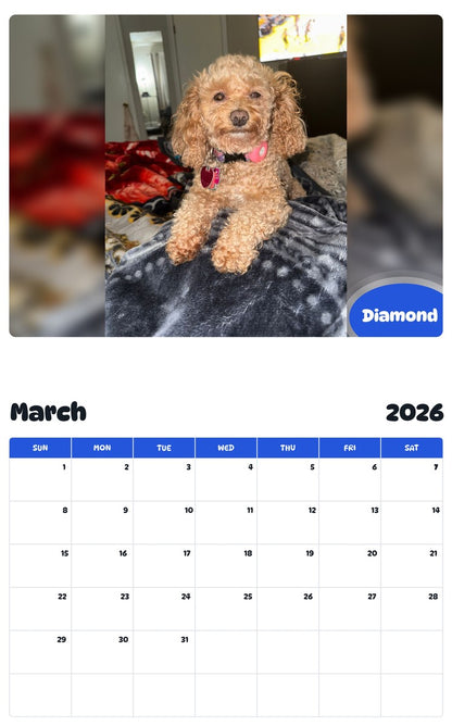 November 2025 - October 2026 Diamond - Pawidols Pet Calendar