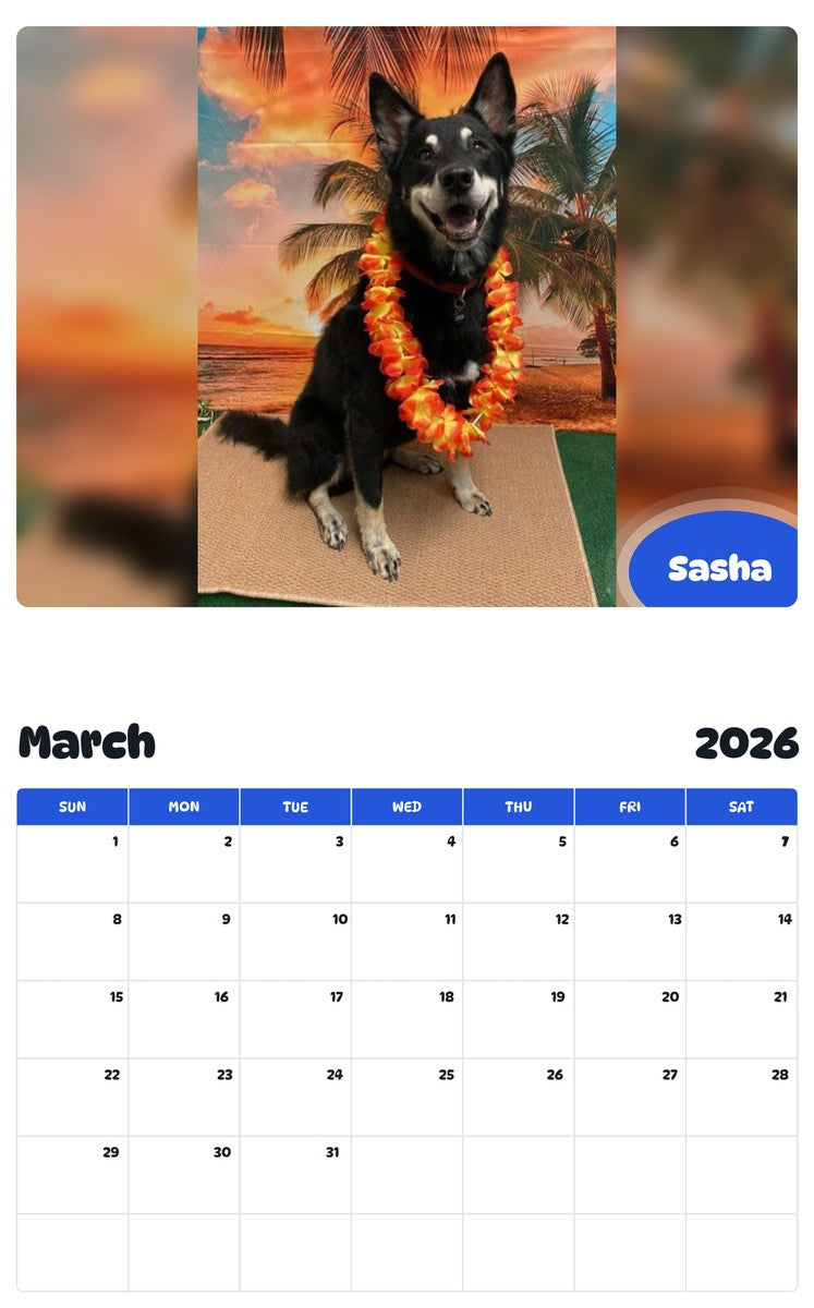 November 2025 - October 2026 Sasha - Pawidols Pet Calendar