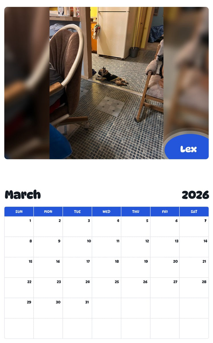 November 2025 - October 2026 Lex - Pawidols Pet Calendar