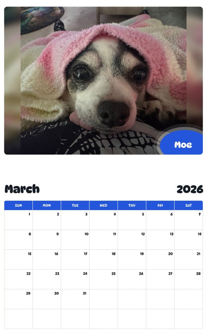November 2025 - October 2026 Moe - Pawidols Pet Calendar