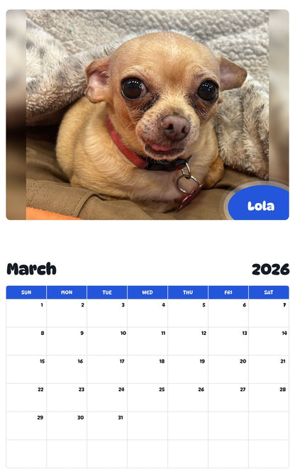 November 2025 - October 2026 Lola - Pawidols Pet Calendar