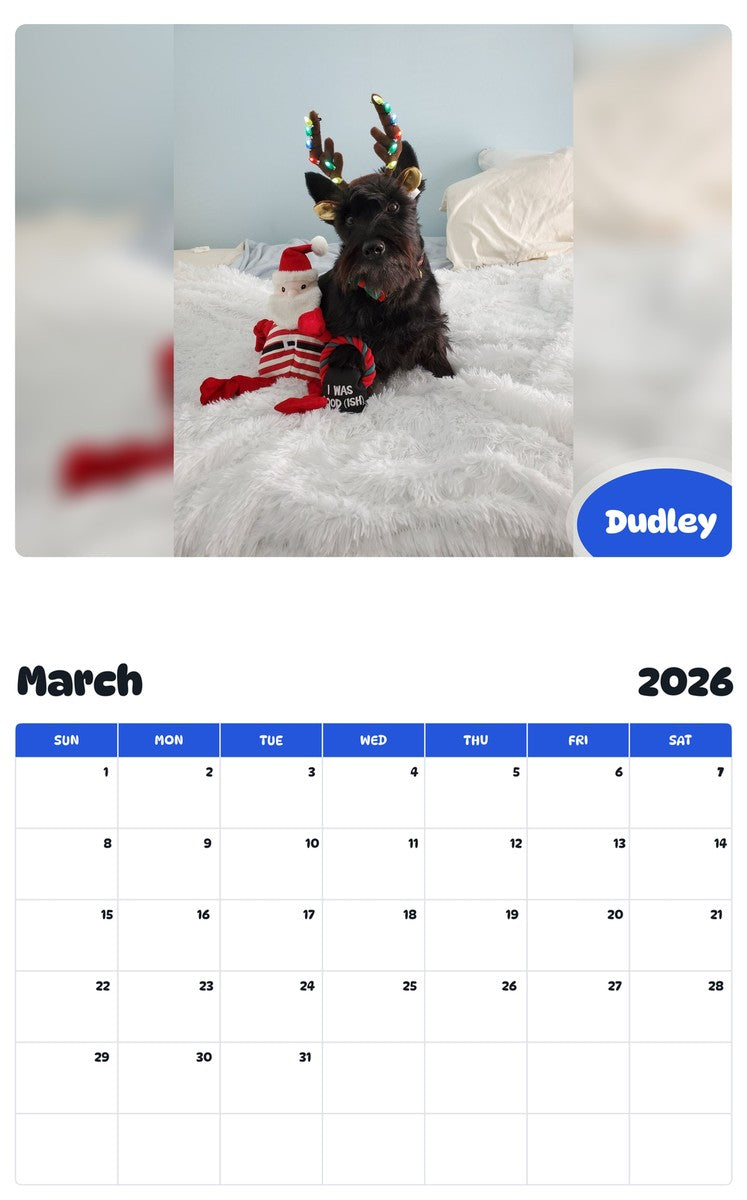 November 2025 - October 2026 Dudley - Pawidols Pet Calendar