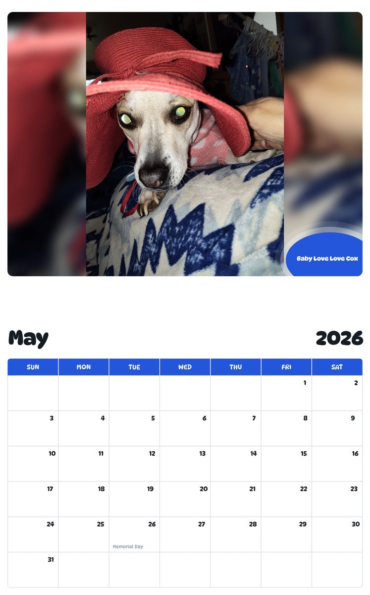 2026 - 2027 Baby Love Love Cox - Pawidols Pet Calendar