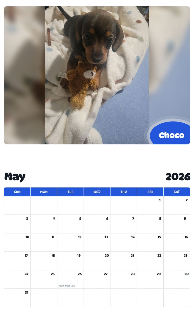 2026 - 2027 Choco - Pawidols Pet Calendar