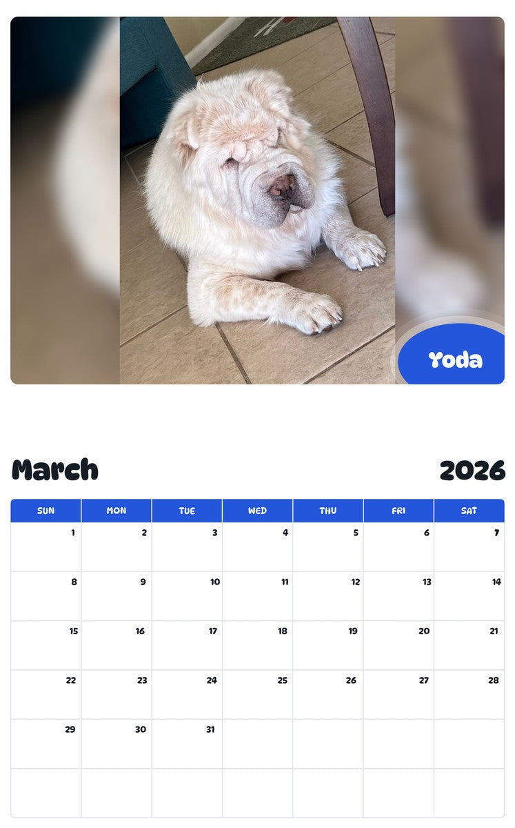 November 2025 - October 2026 Yoda - Pawidols Pet Calendar