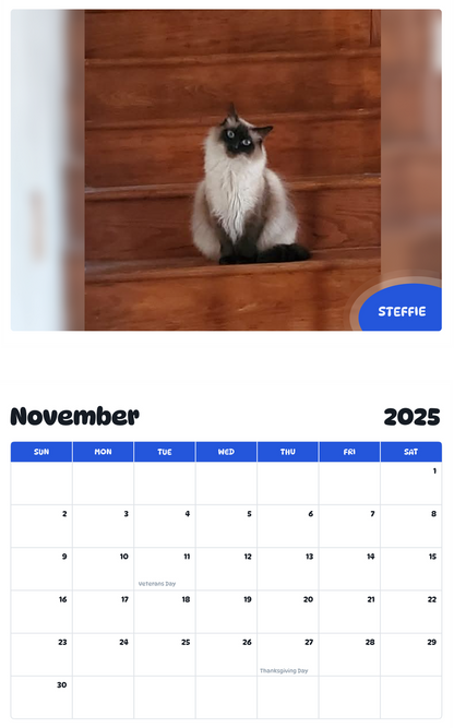 July 2025 - June 2026 Steffie - Pawidols Pet Calendar