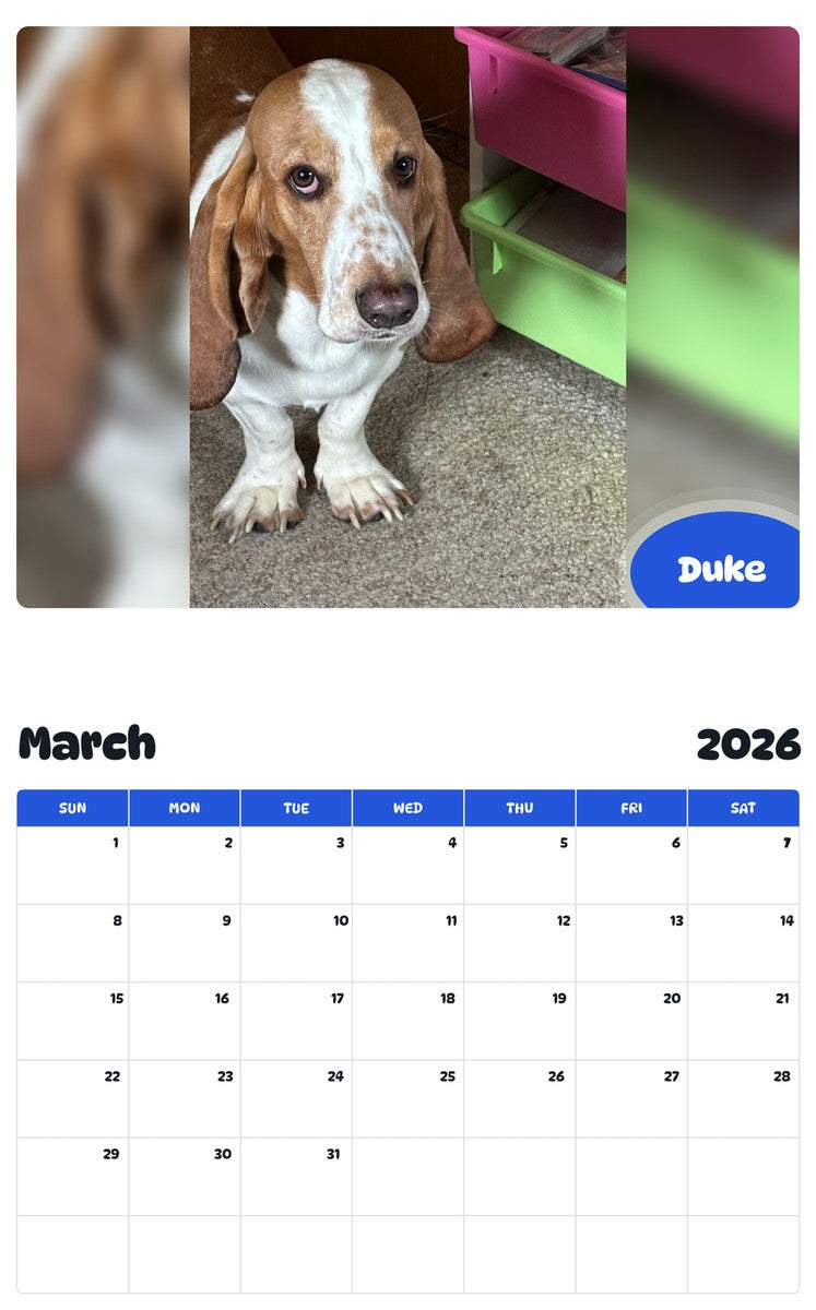 November 2025 - October 2026 Duke - Pawidols Pet Calendar